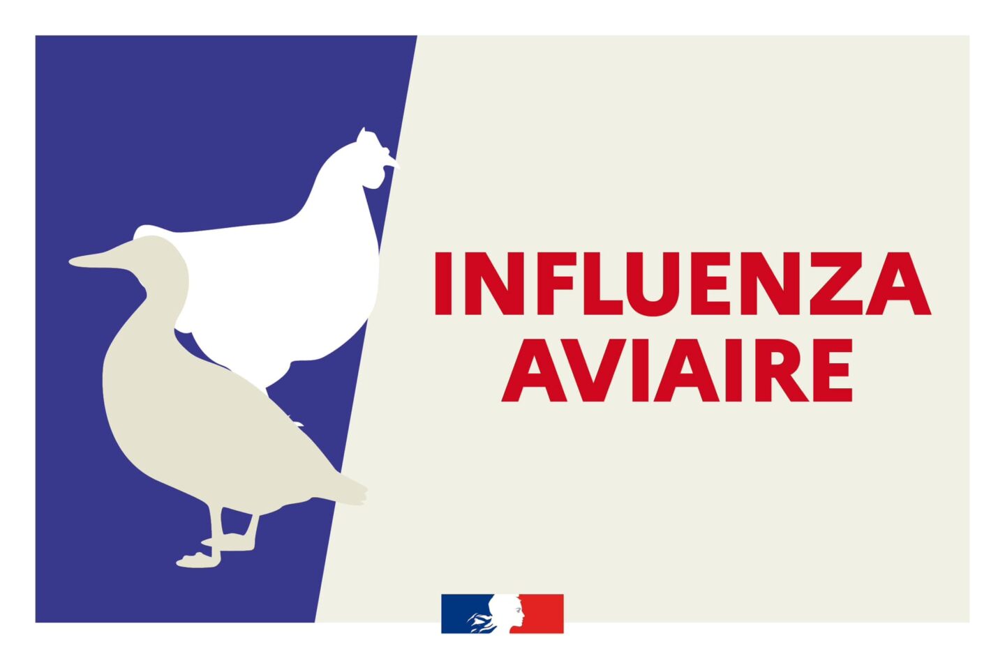 https://www.ville-le-treport.fr/wp-content/uploads/2025/10/Influenza-aviaire-premier-cas-detecte-dans-l-Allier-1440x944.jpg